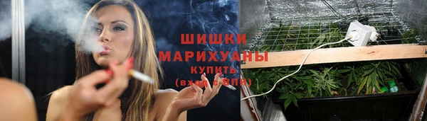 гидропоника Шали