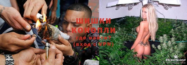 гидропоника Шали