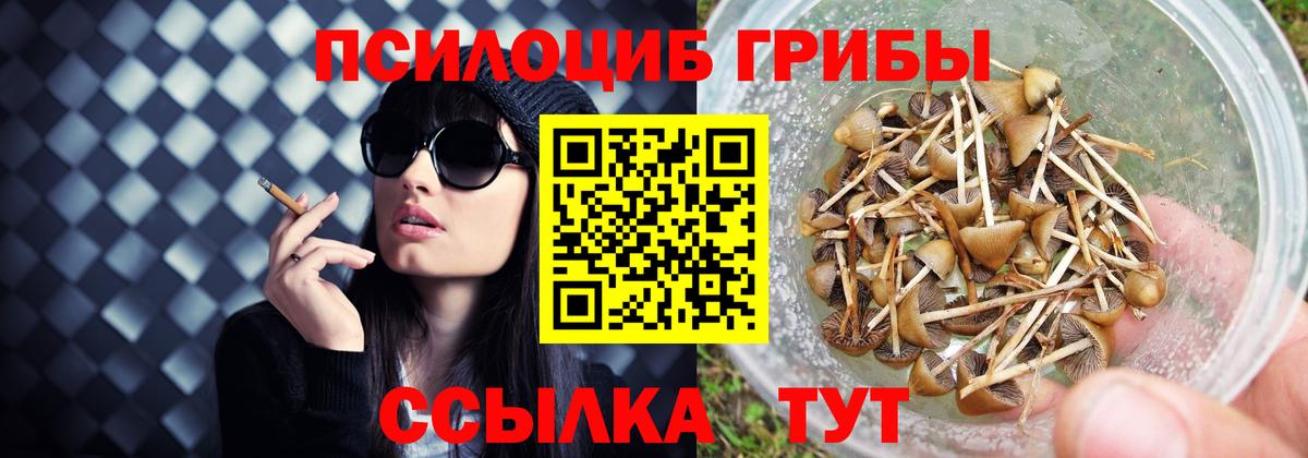 Галлюциногенные грибы мицелий  Вход с VPN  Балабаново 