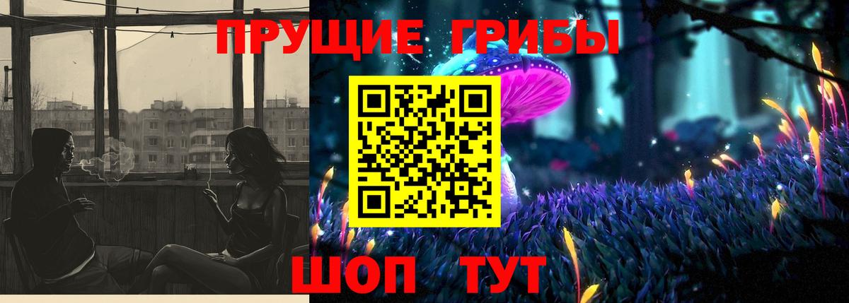 Псилоцибиновые грибы прущие грибы  Балабаново 